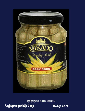 ��������  � ��������