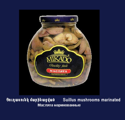  ������� ������������